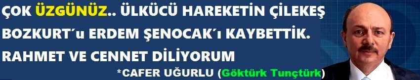 http://www.haber2000.com 